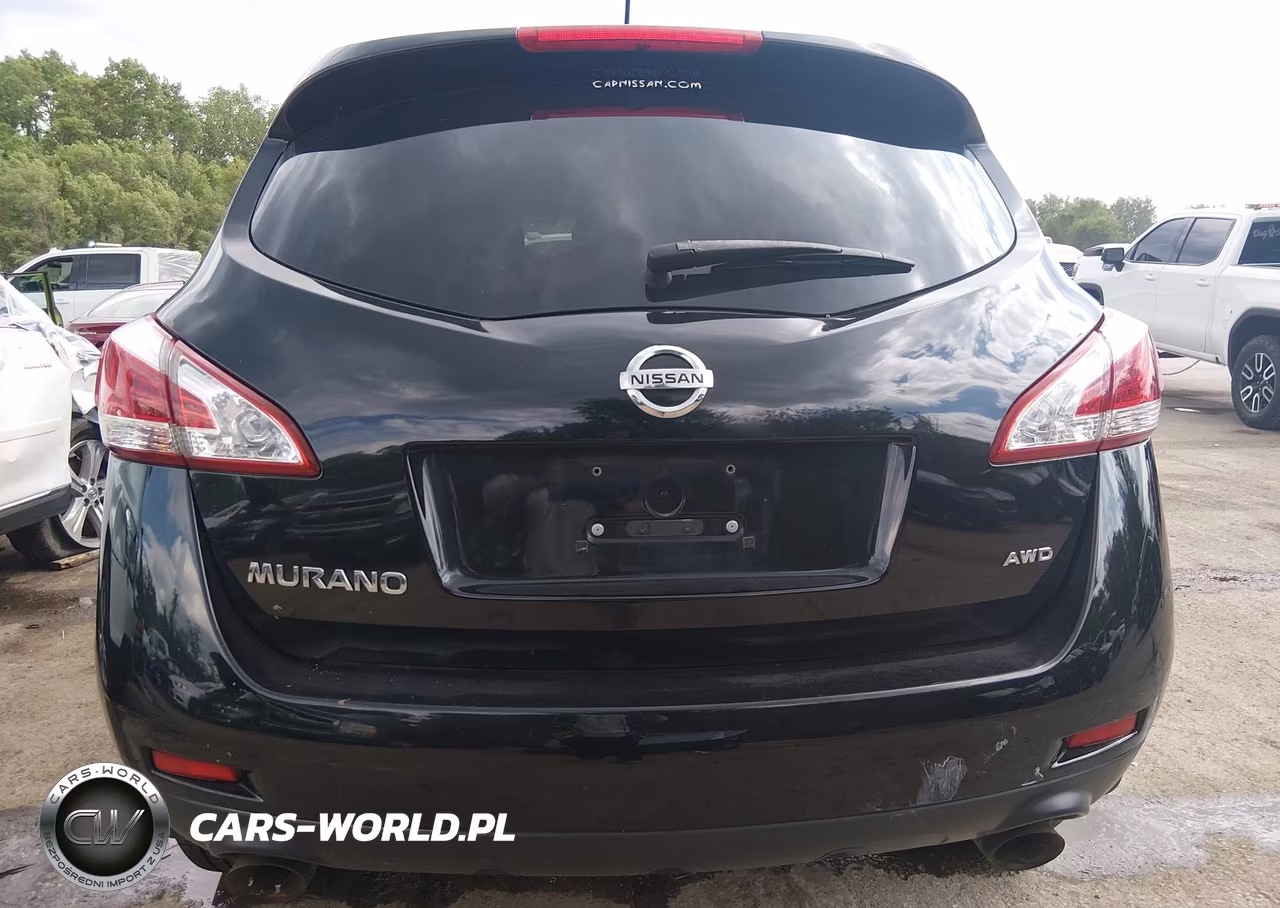2013 Nissan Murano S VIN:JN8AZ1MW3DW314411 - 19