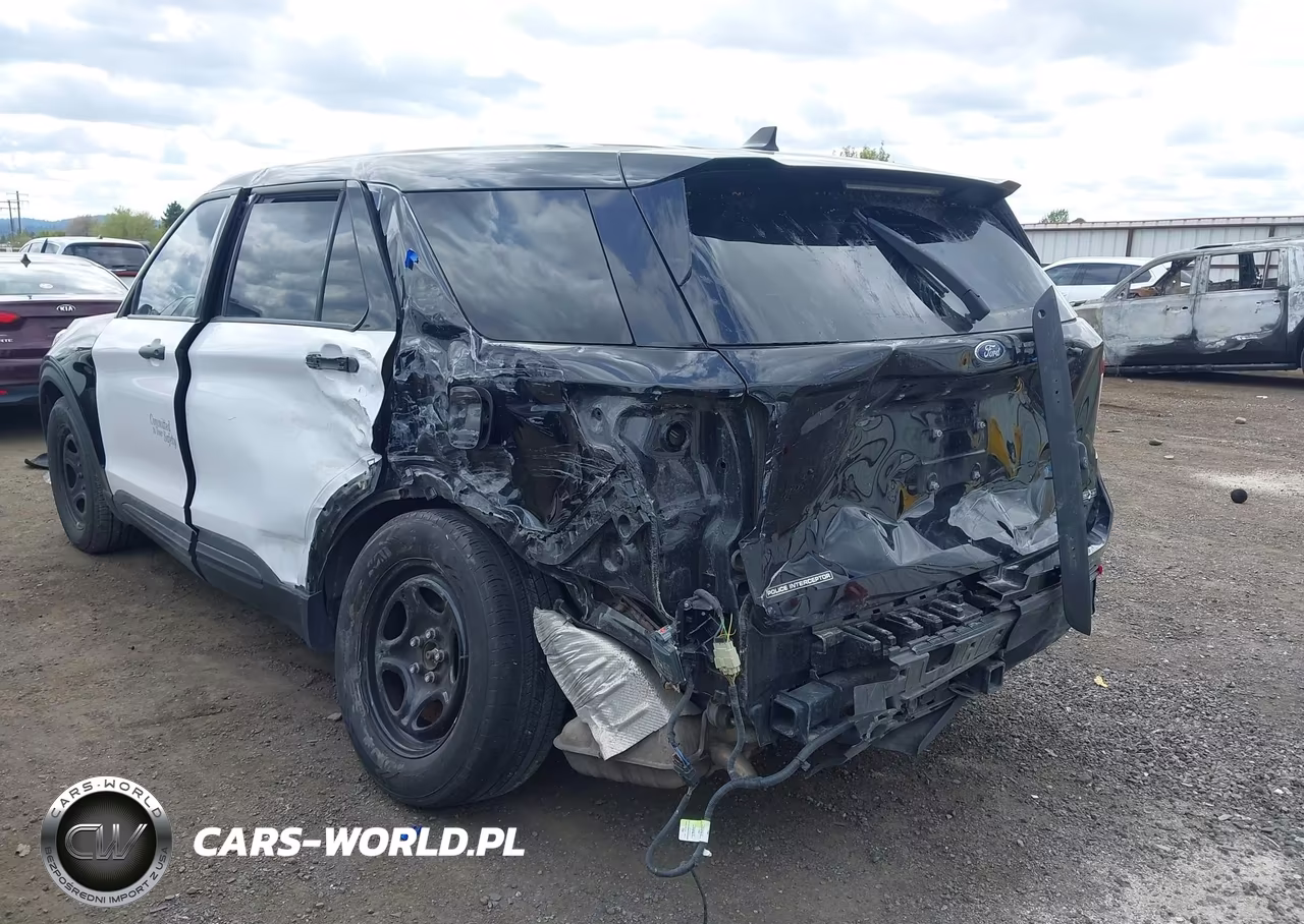 2023 Ford Police Interceptor Utility VIN:1FM5K8AC4PGB68079 - 19