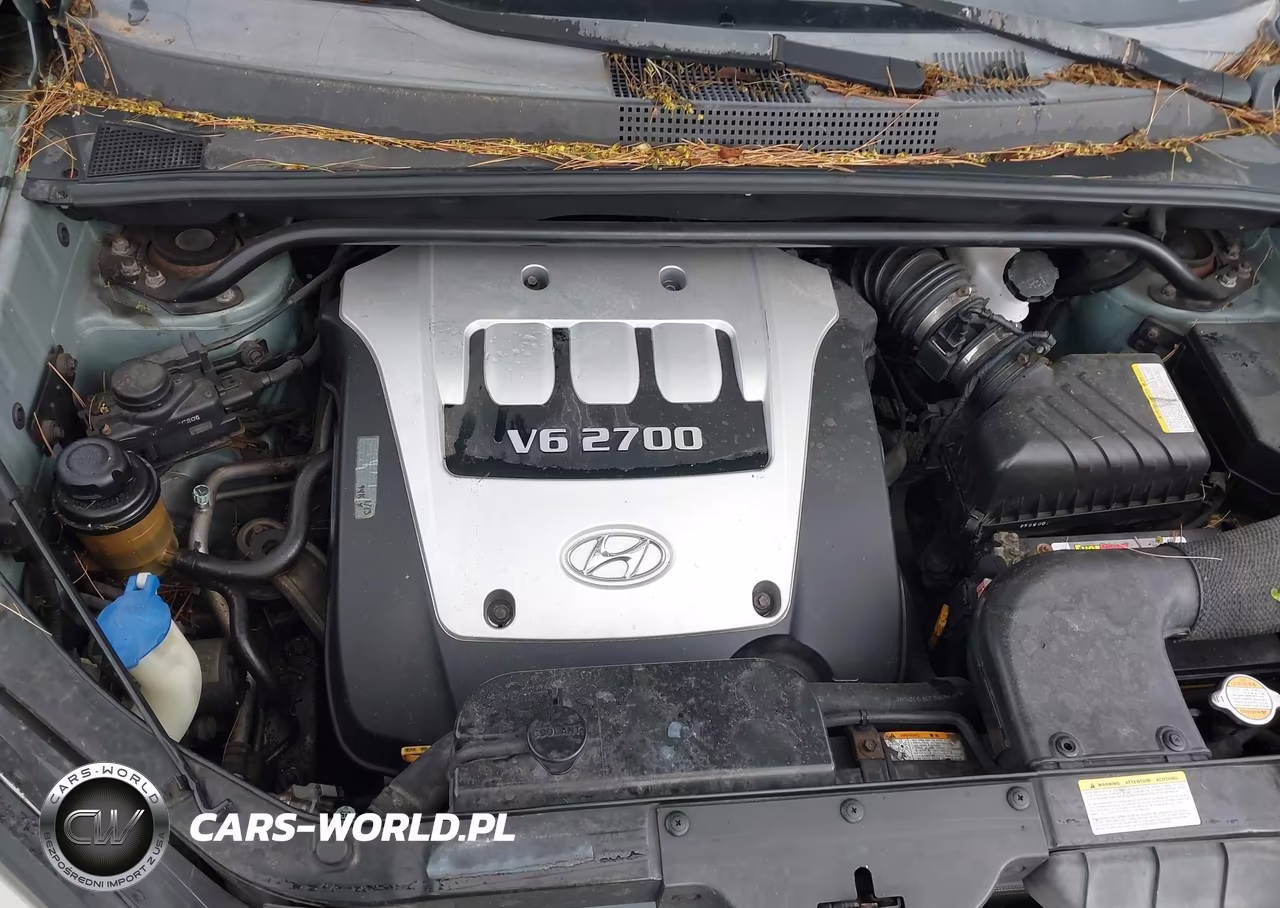2006 Hyundai Tucson Gls-Limited VIN:KM8JN72D46U284180 - 10