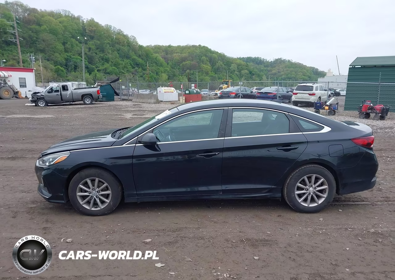 2018 Hyundai Sonata Se VIN:5NPE24AF8JH603132 - 13
