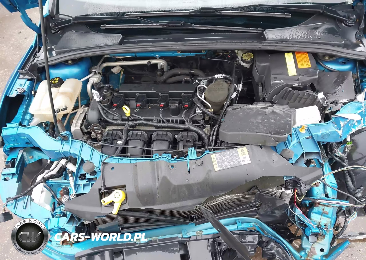 2014 Ford Focus Se VIN:1FADP3F28EL405803 - 10