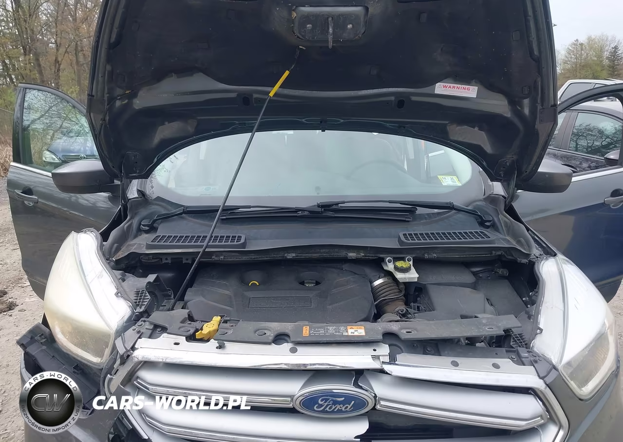 2017 Ford Escape Se VIN:1FMCU9G97HUA01964 - 10
