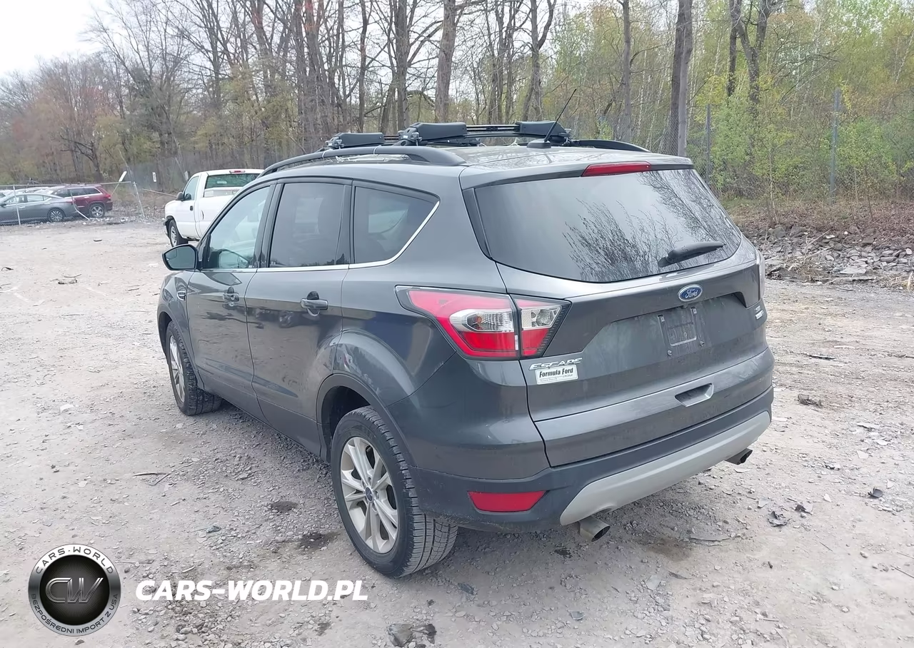 2017 Ford Escape Se VIN:1FMCU9G97HUA01964 - 3