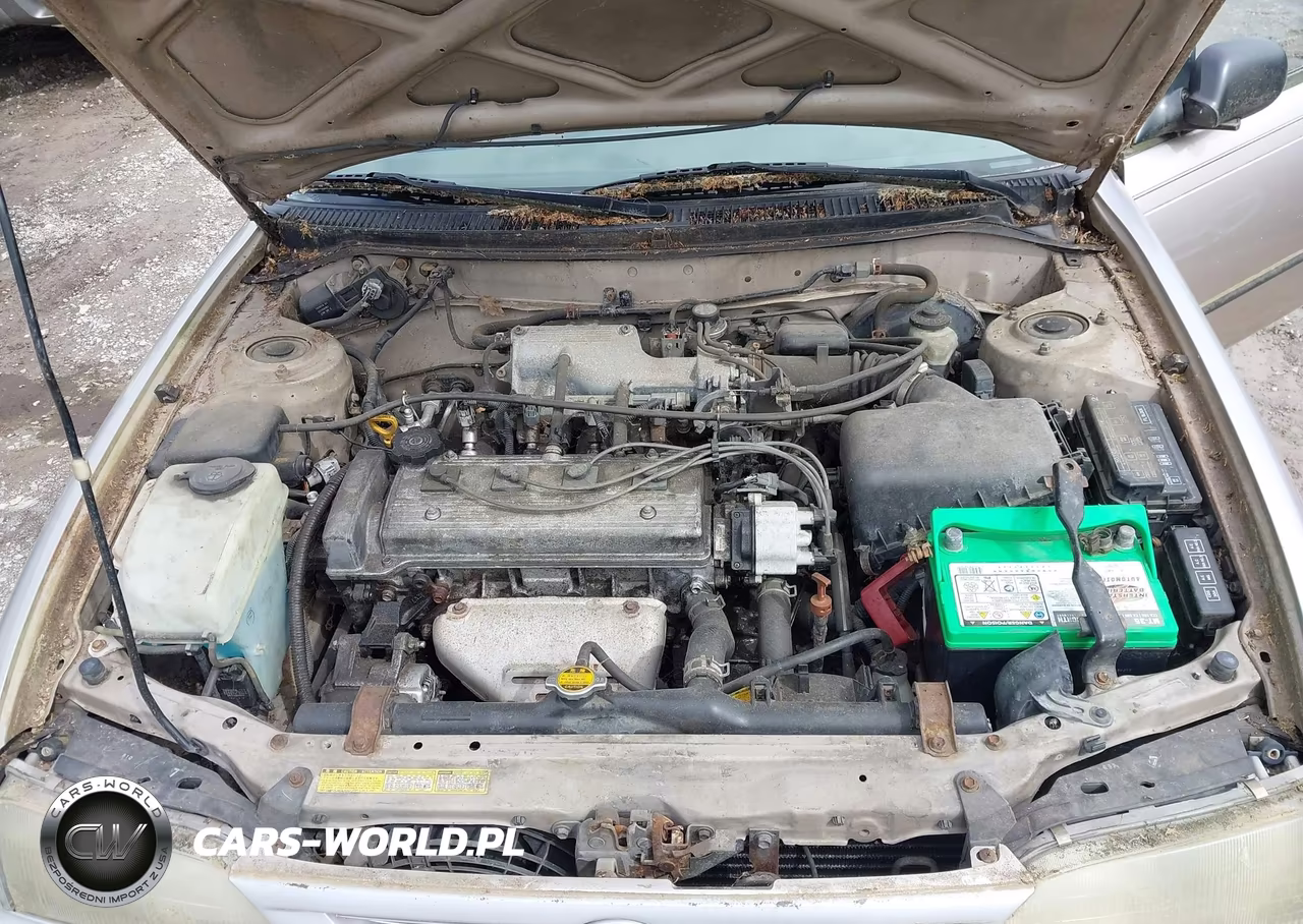 1996 Toyota Corolla Dx VIN:JT2EB02E5T0111570 - 10