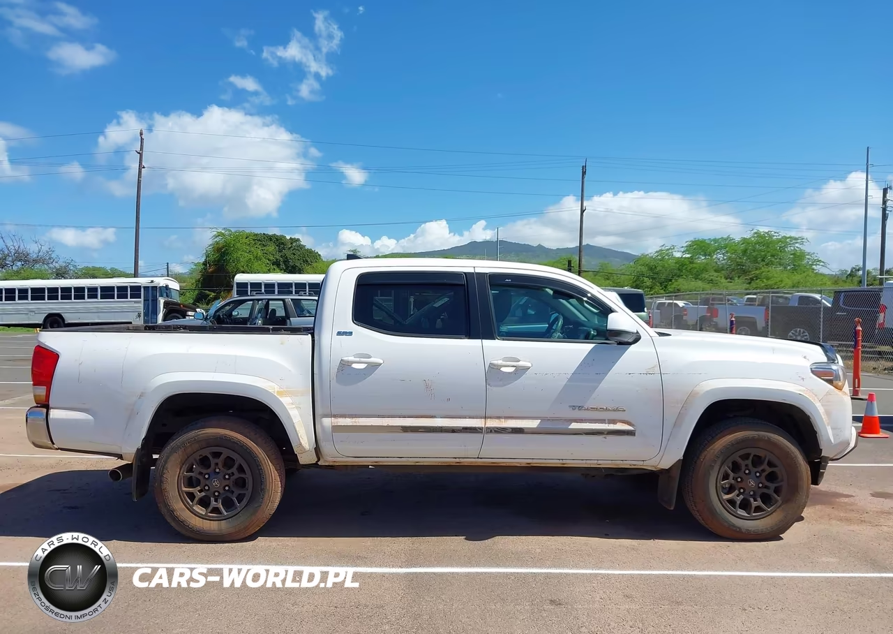 2017 Toyota Tacoma Sr5 V6 VIN:5TFCZ5ANXHX078041 - 13