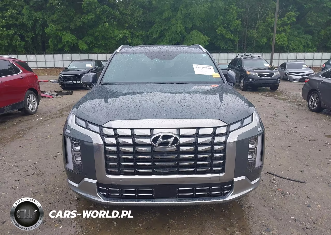 2025 Hyundai Palisade Calligraphy VIN:KM8R7DGE8SU897023 - 12