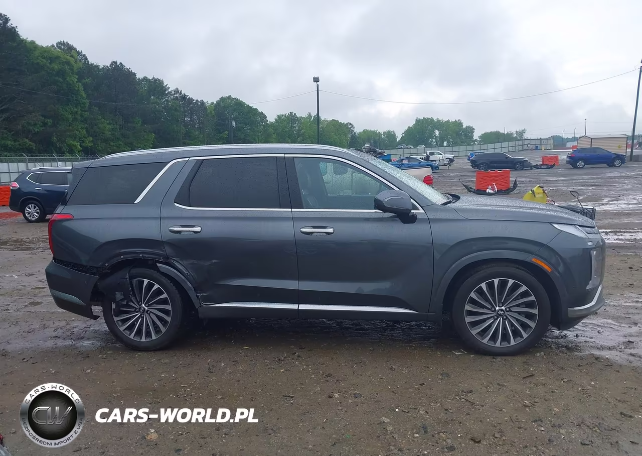 2025 Hyundai Palisade Calligraphy VIN:KM8R7DGE8SU897023 - 13