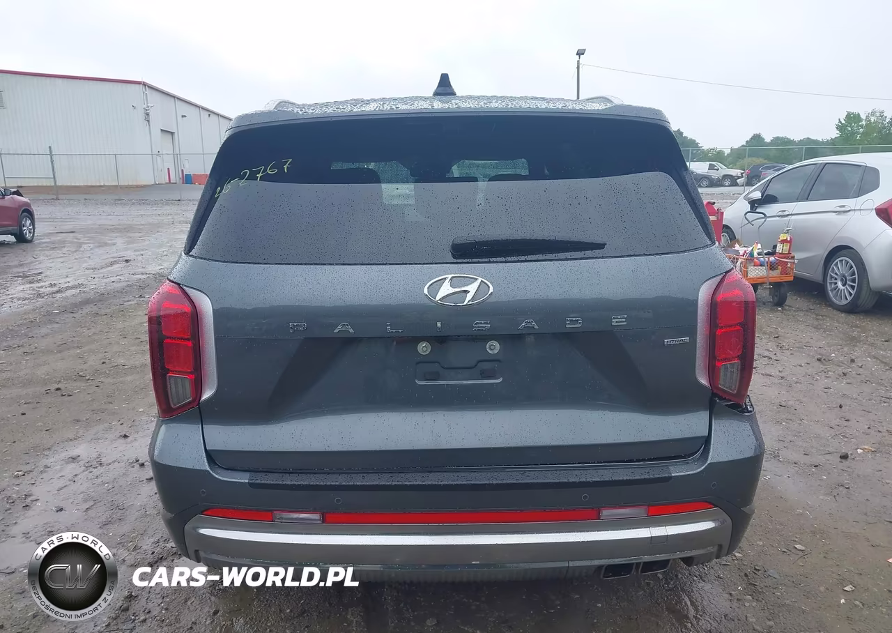 2025 Hyundai Palisade Calligraphy VIN:KM8R7DGE8SU897023 - 16