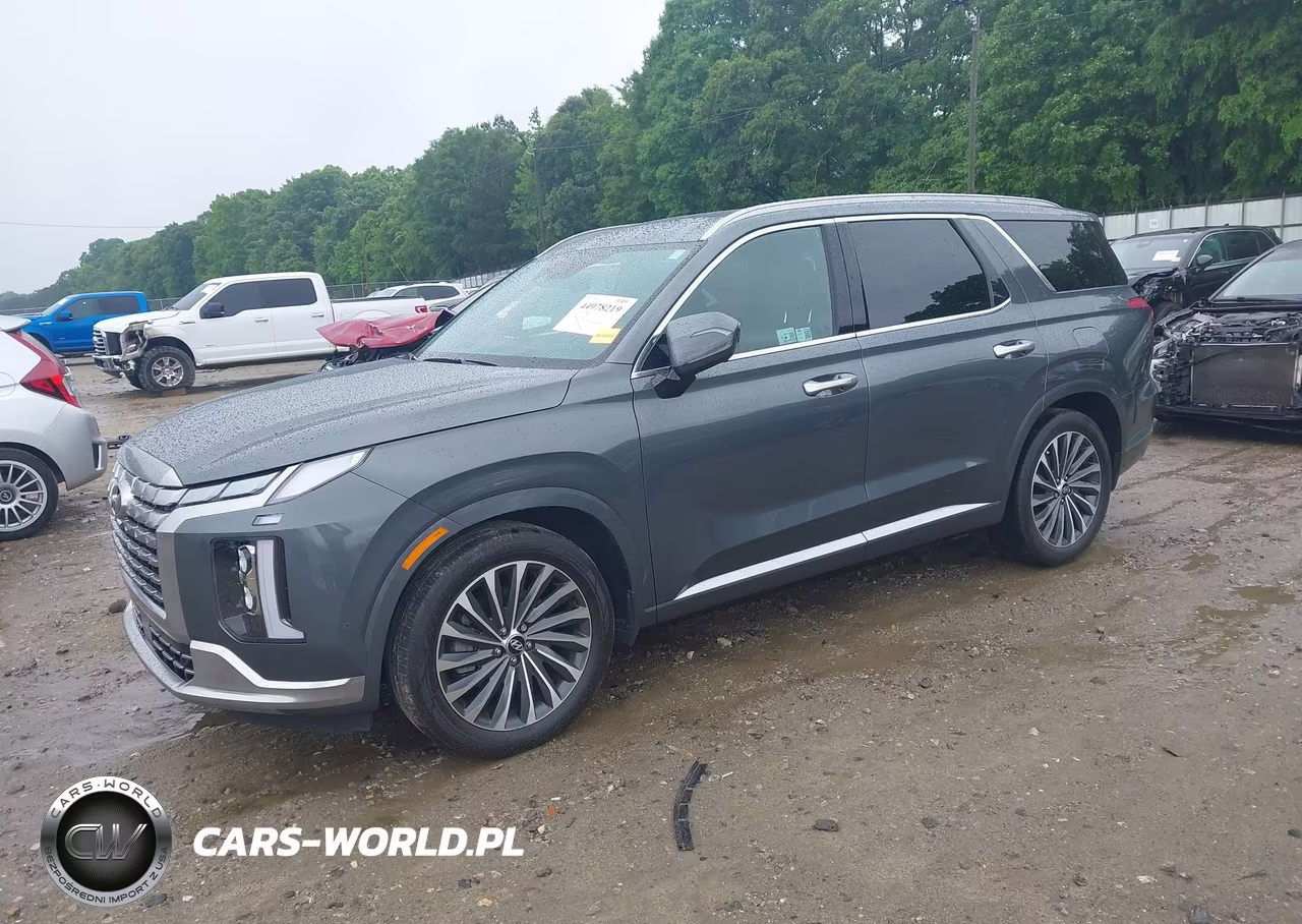 2025 Hyundai Palisade Calligraphy VIN:KM8R7DGE8SU897023 - 2