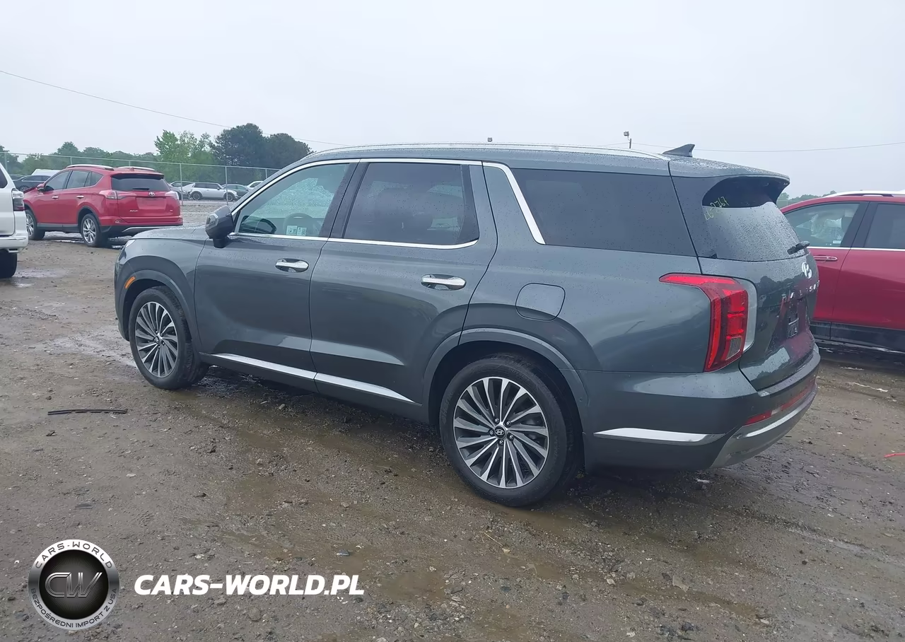 2025 Hyundai Palisade Calligraphy VIN:KM8R7DGE8SU897023 - 3