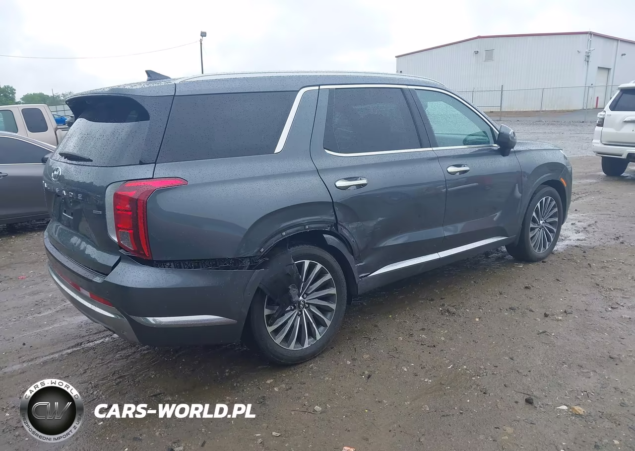 2025 Hyundai Palisade Calligraphy VIN:KM8R7DGE8SU897023 - 4