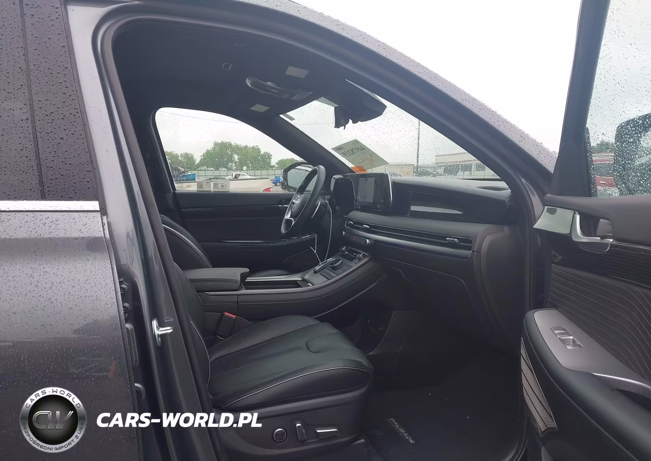 2025 Hyundai Palisade Calligraphy VIN:KM8R7DGE8SU897023 - 5