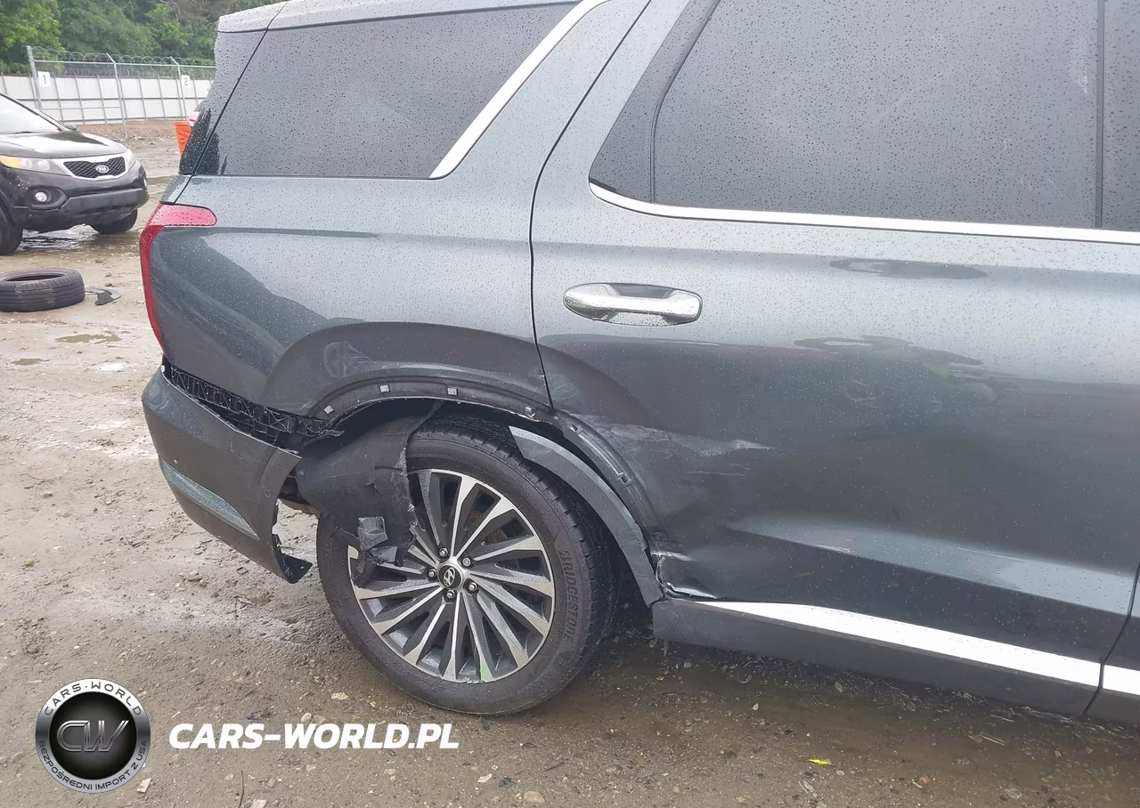 2025 Hyundai Palisade Calligraphy VIN:KM8R7DGE8SU897023 - 6