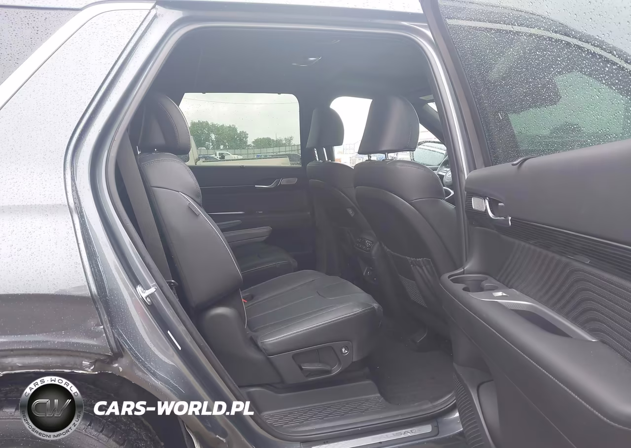 2025 Hyundai Palisade Calligraphy VIN:KM8R7DGE8SU897023 - 8