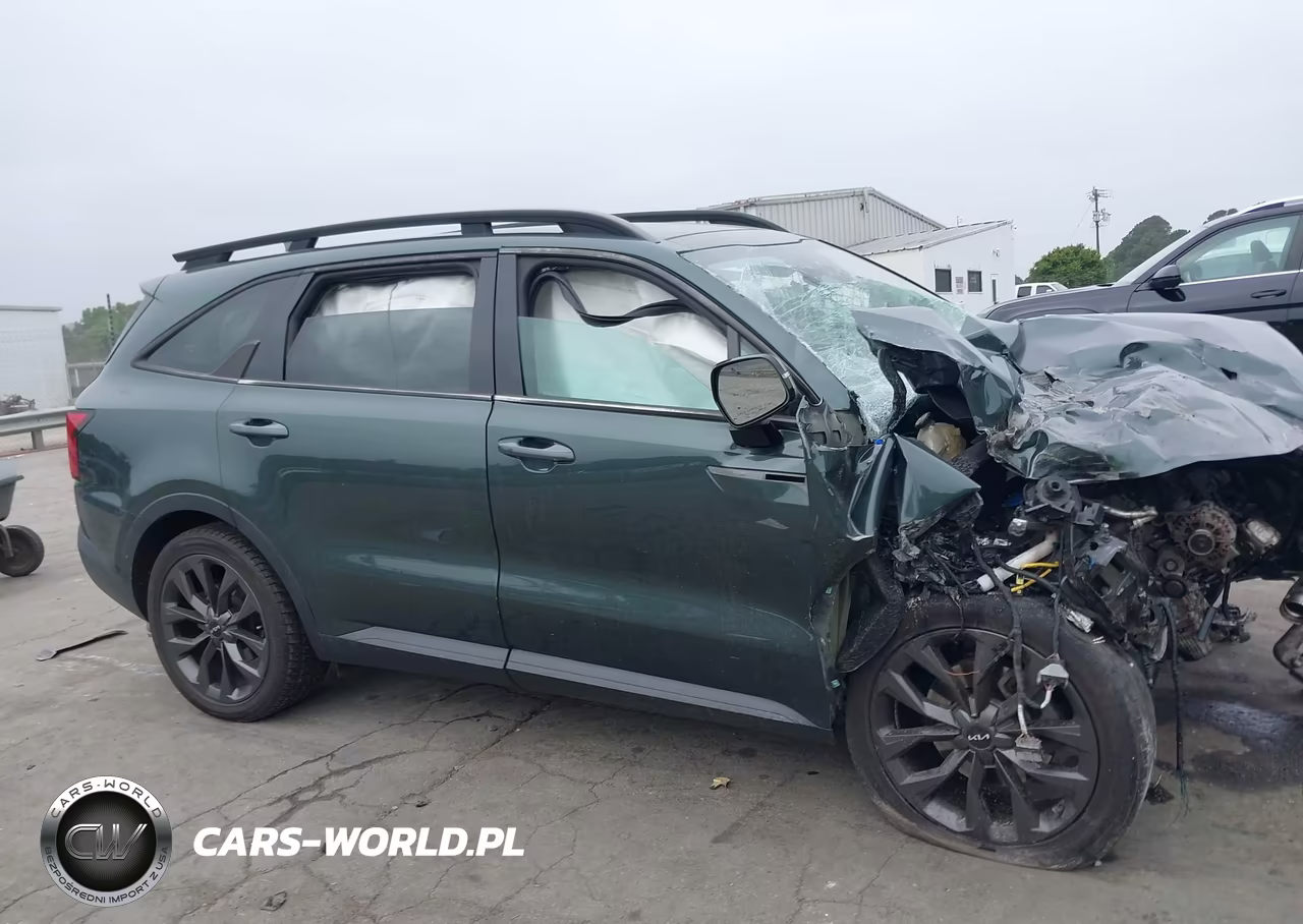 2022 Kia Sorento X-Line Sx Prestige VIN:5XYRKDLFXNG108829 - 12