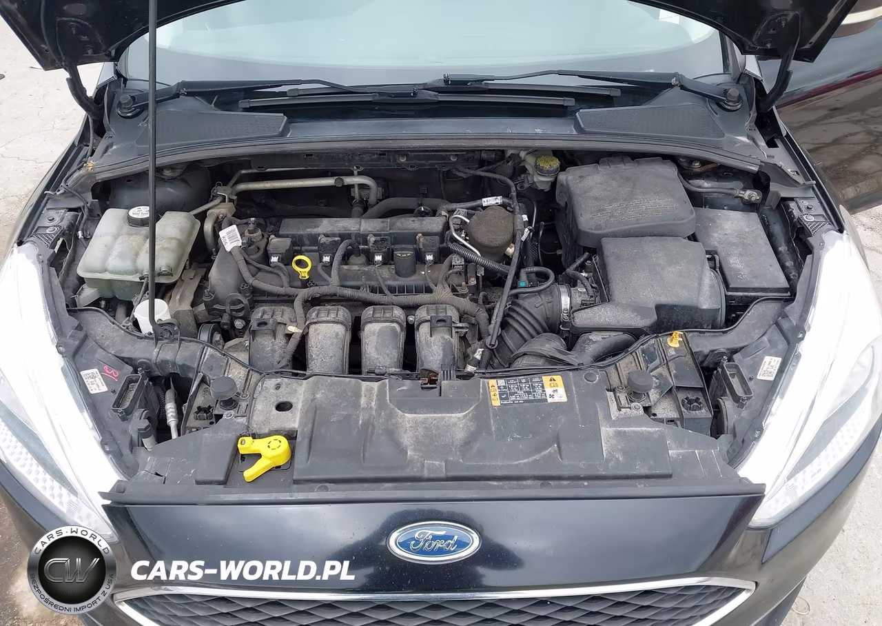 2016 Ford Focus Se VIN:1FADP3F23GL202563 - 10