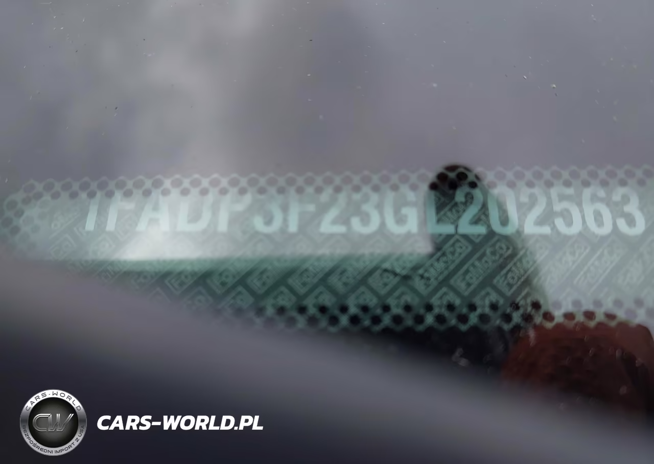 2016 Ford Focus Se VIN:1FADP3F23GL202563 - 9