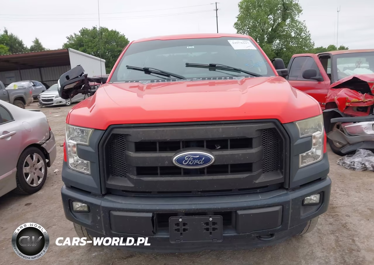 2015 Ford F-150 Xl VIN:1FTEW1EP3FKD49019 - 13