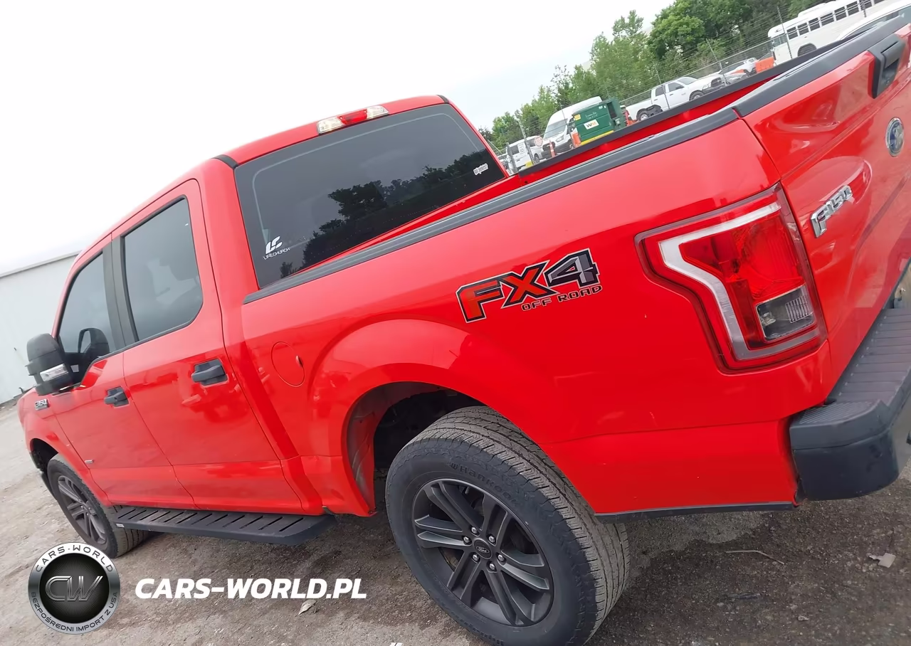 2015 Ford F-150 Xl VIN:1FTEW1EP3FKD49019 - 15