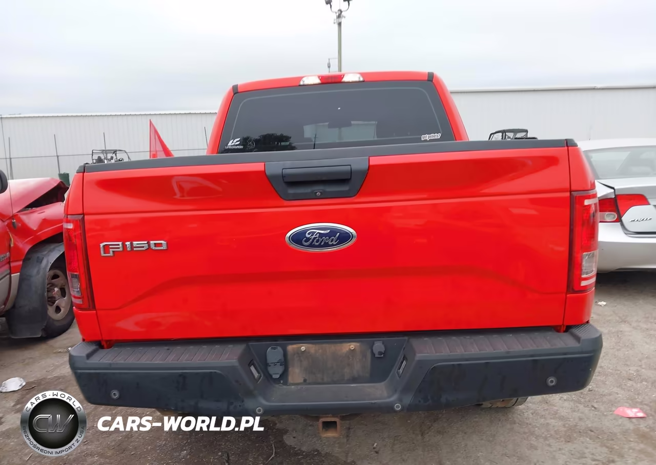 2015 Ford F-150 Xl VIN:1FTEW1EP3FKD49019 - 17