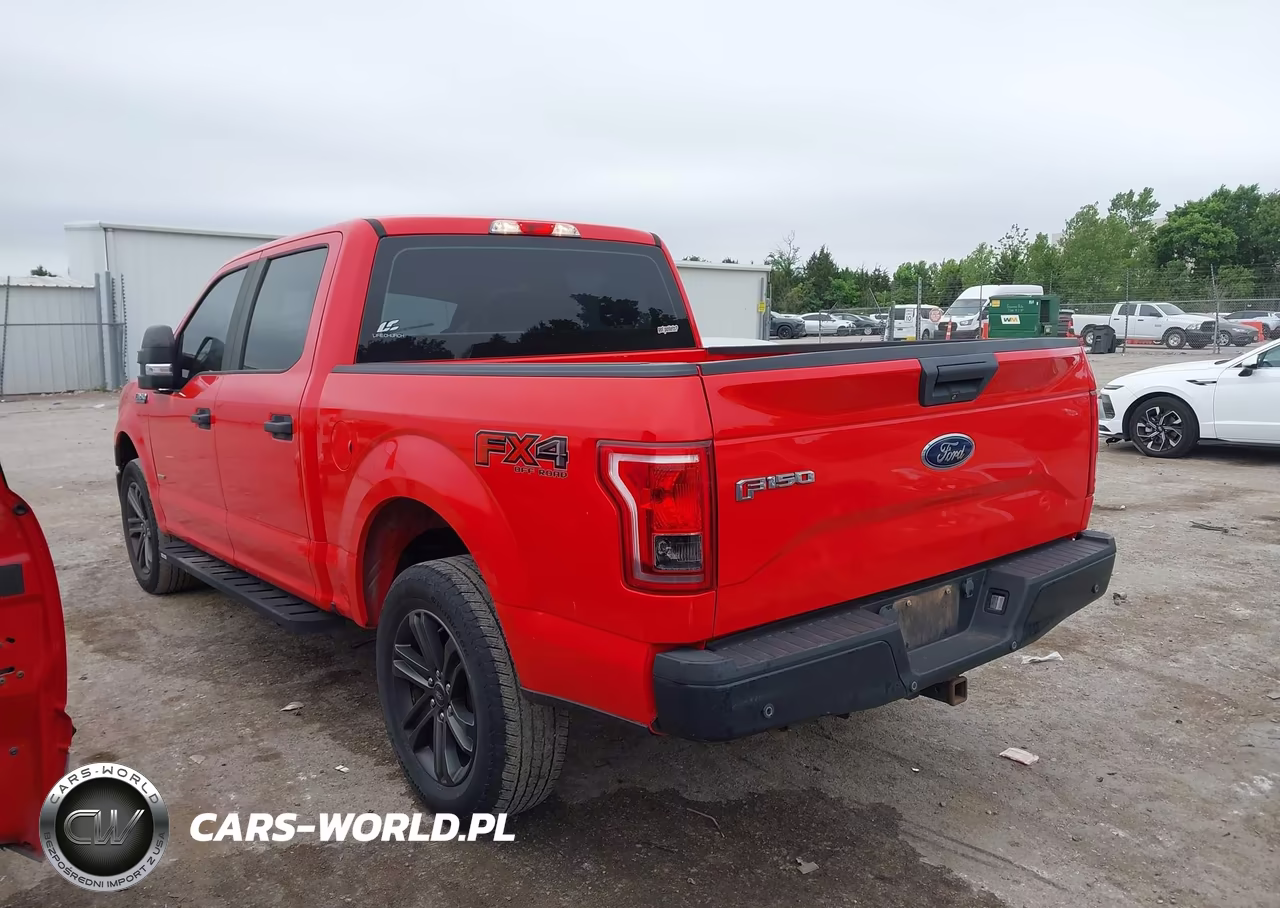 2015 Ford F-150 Xl VIN:1FTEW1EP3FKD49019 - 3