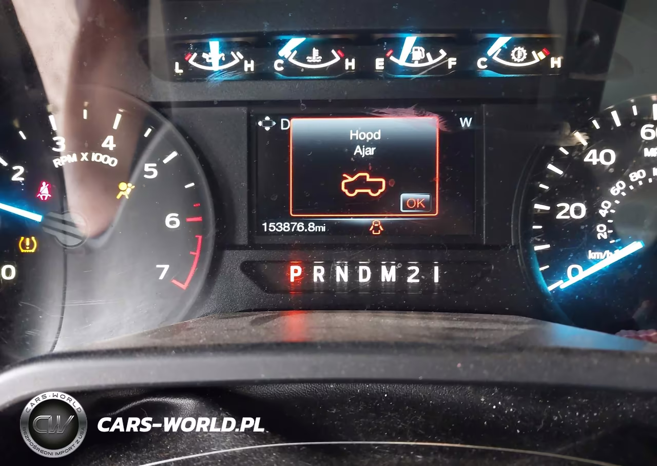 2015 Ford F-150 Xl VIN:1FTEW1EP3FKD49019 - 7