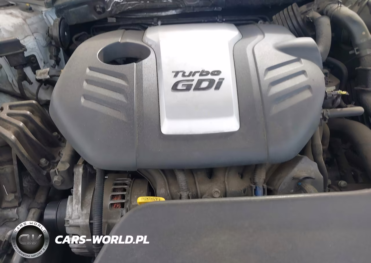 2015 Hyundai Sonata Eco VIN:5NPE24AA5FH155539 - 10