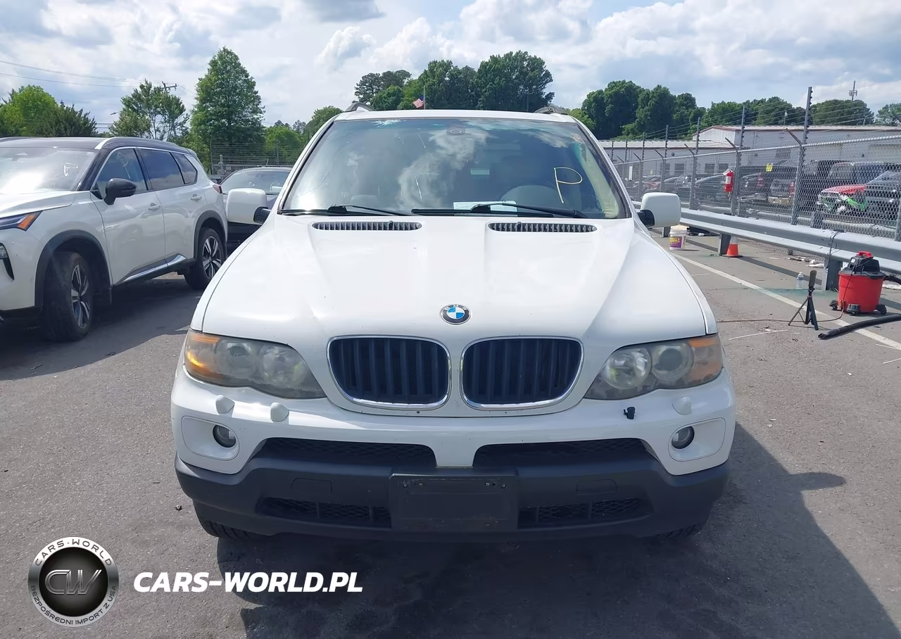 2006 BMW X5 3.0I VIN:5UXFA13526LY32773 - 12