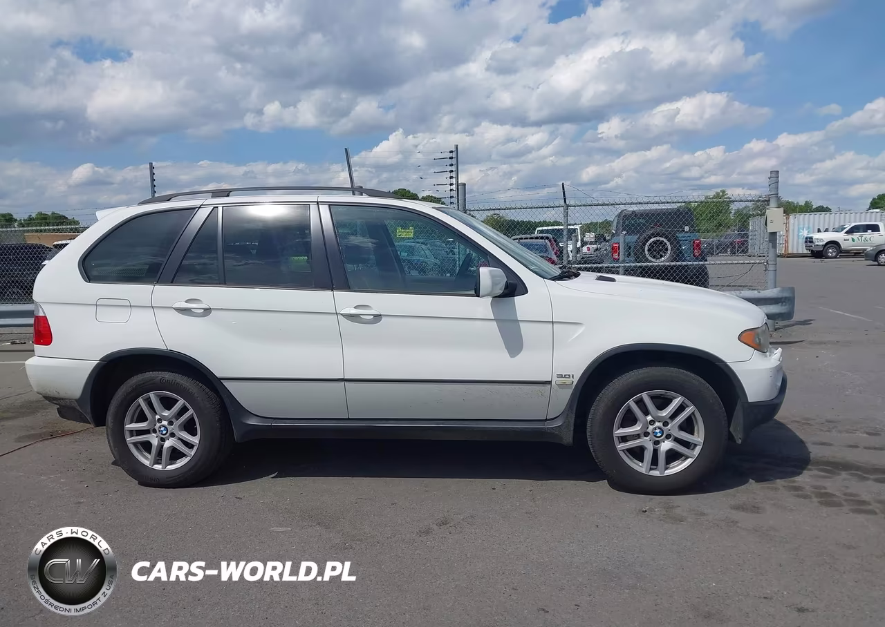 2006 BMW X5 3.0I VIN:5UXFA13526LY32773 - 13