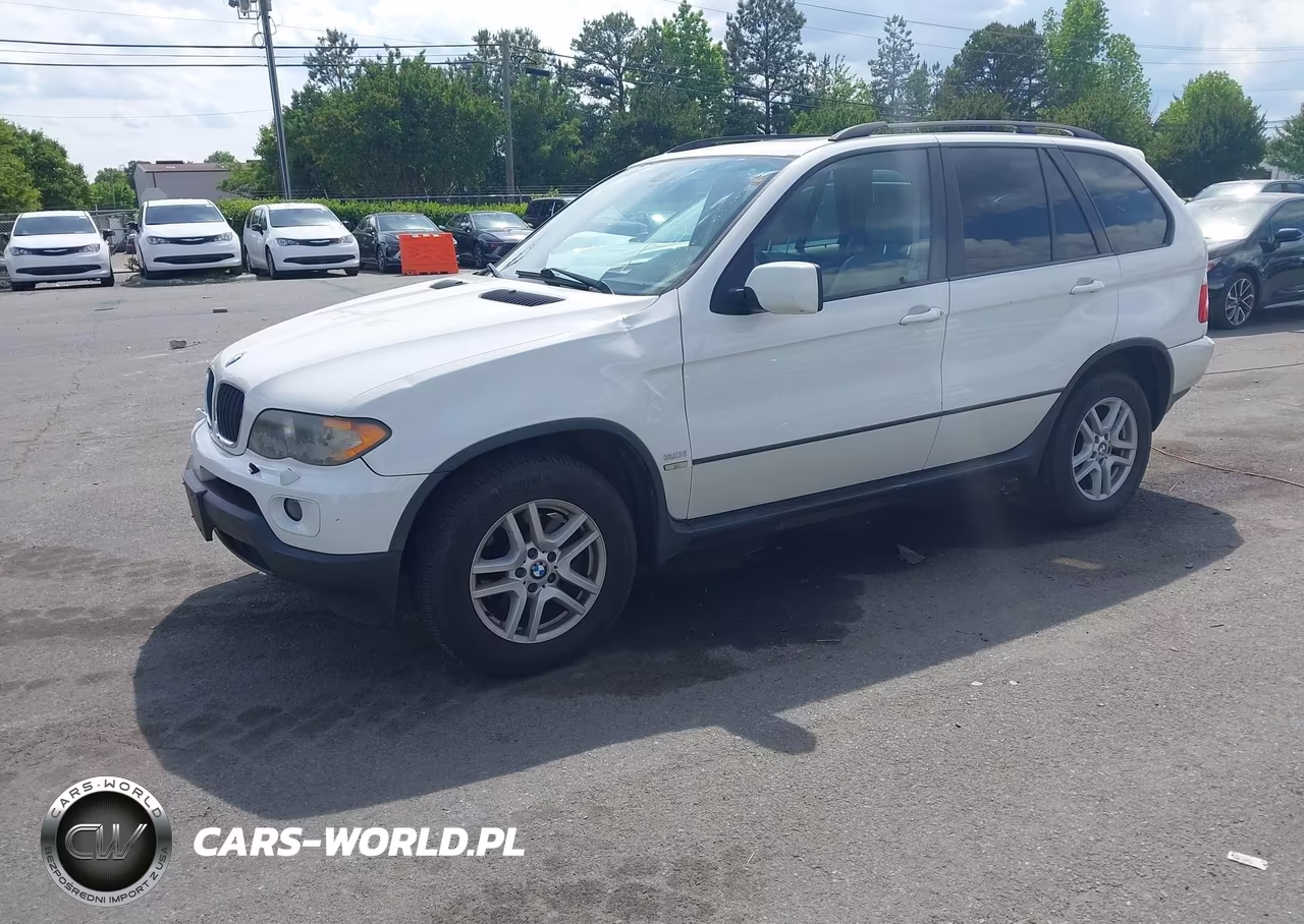 2006 BMW X5 3.0I VIN:5UXFA13526LY32773 - 2