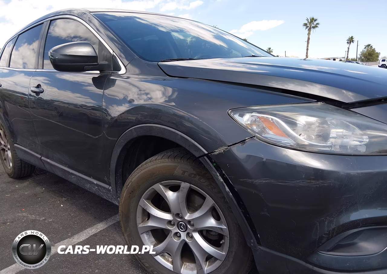 2014 Mazda Cx-9 Touring VIN:JM3TB2CVXE0436105 - 6