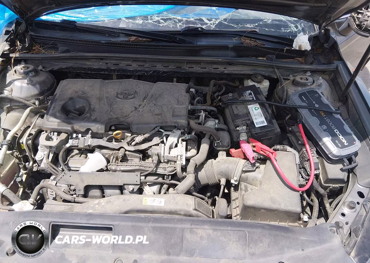 2019 Toyota Camry Se VIN:4T1B11HK2KU254480 - 10