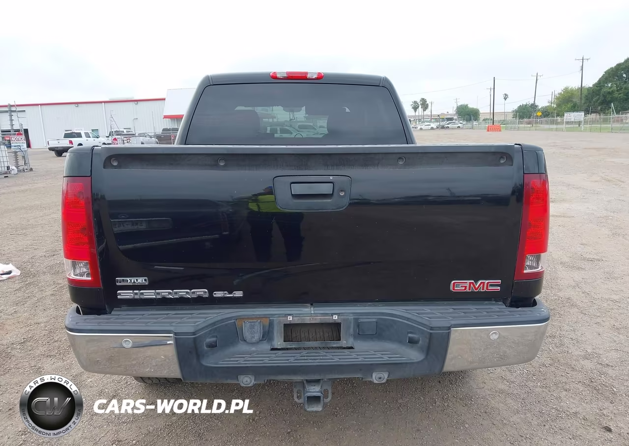 2009 GMC Sierra 1500 Sle VIN:3GTEK23369G265161 - 17