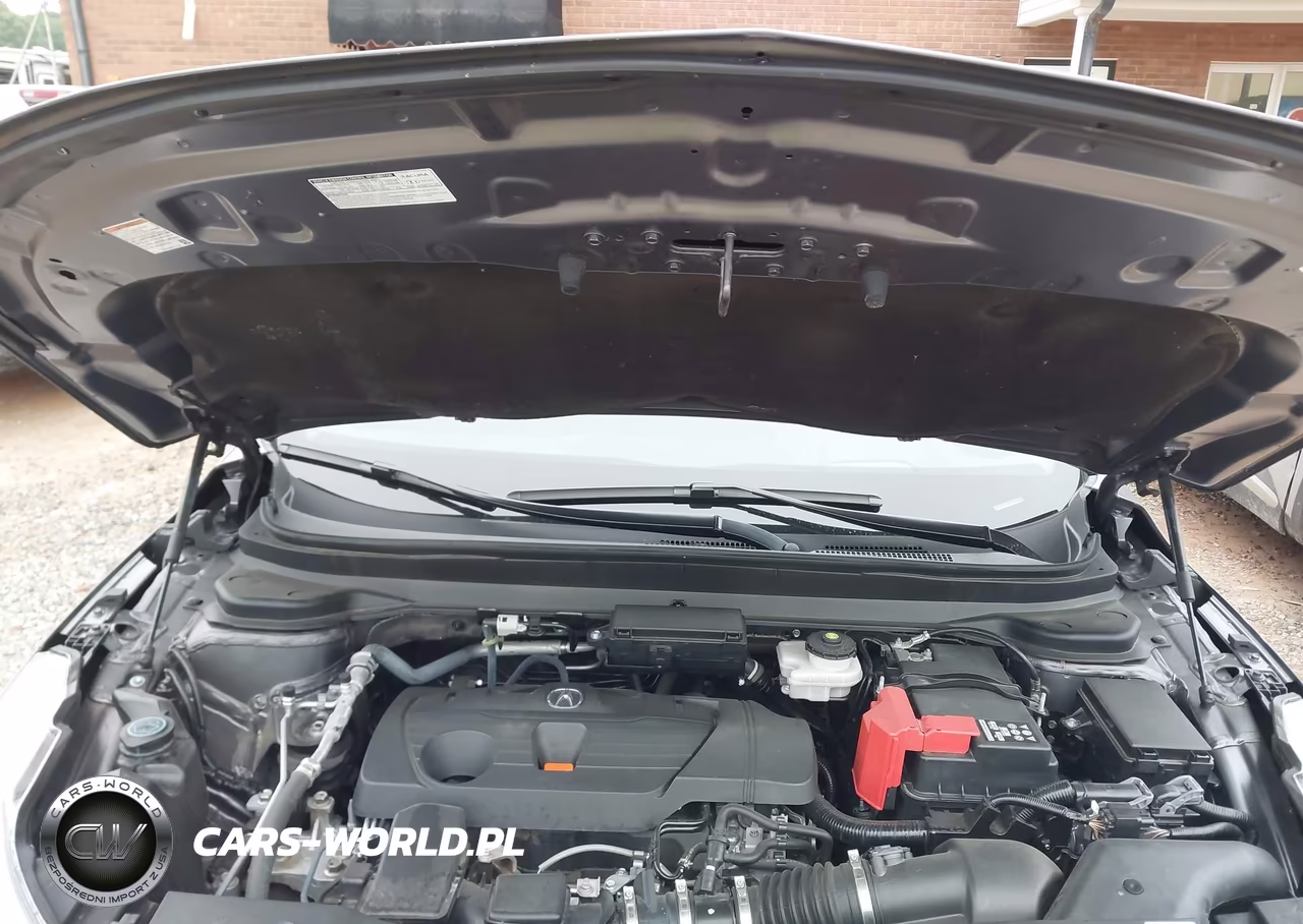 2020 Acura Rdx Advance Package VIN:5J8TC2H70LL019055 - 10