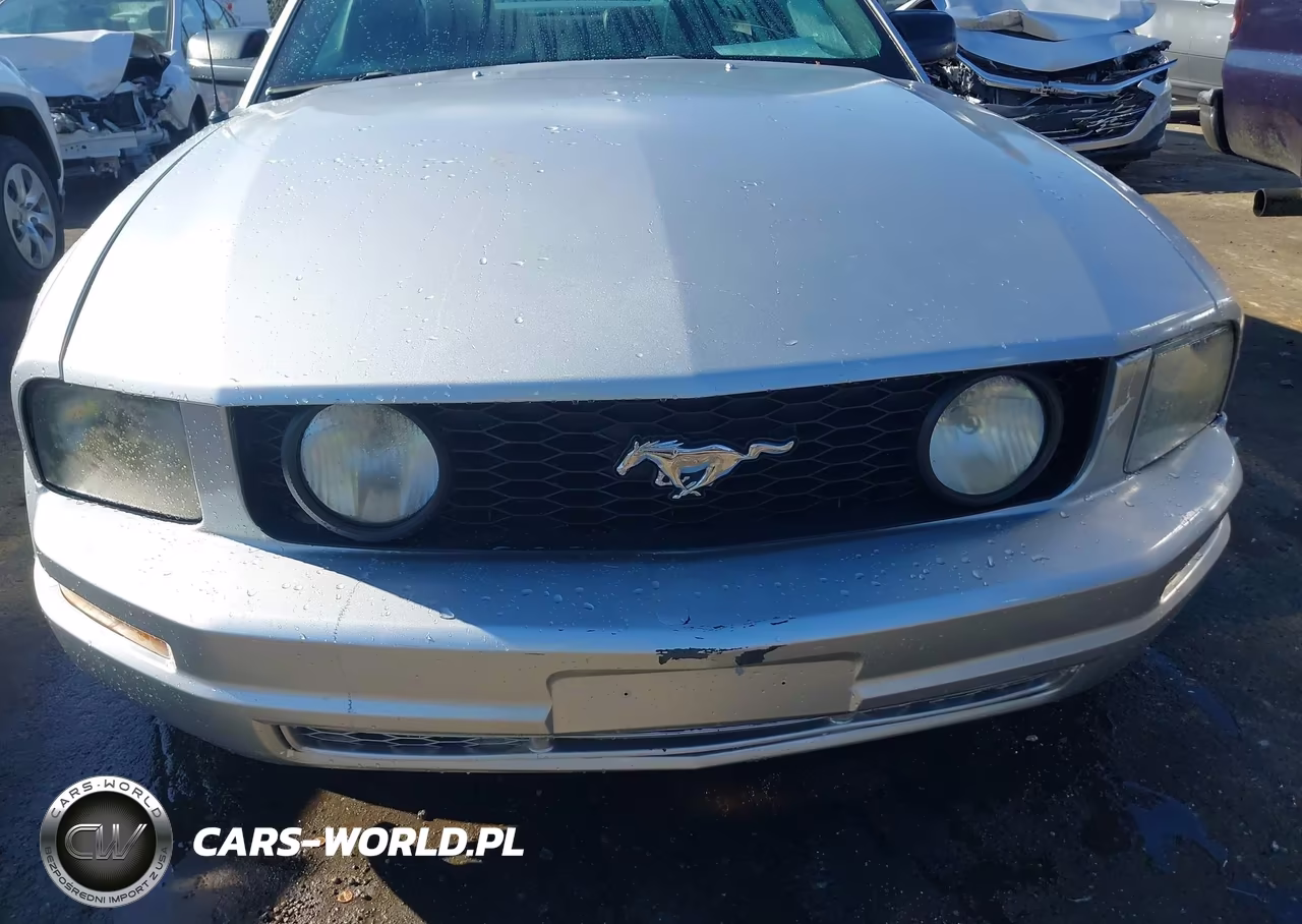 2006 Ford Mustang Gt VIN:1ZVHT82H965218149 - 12