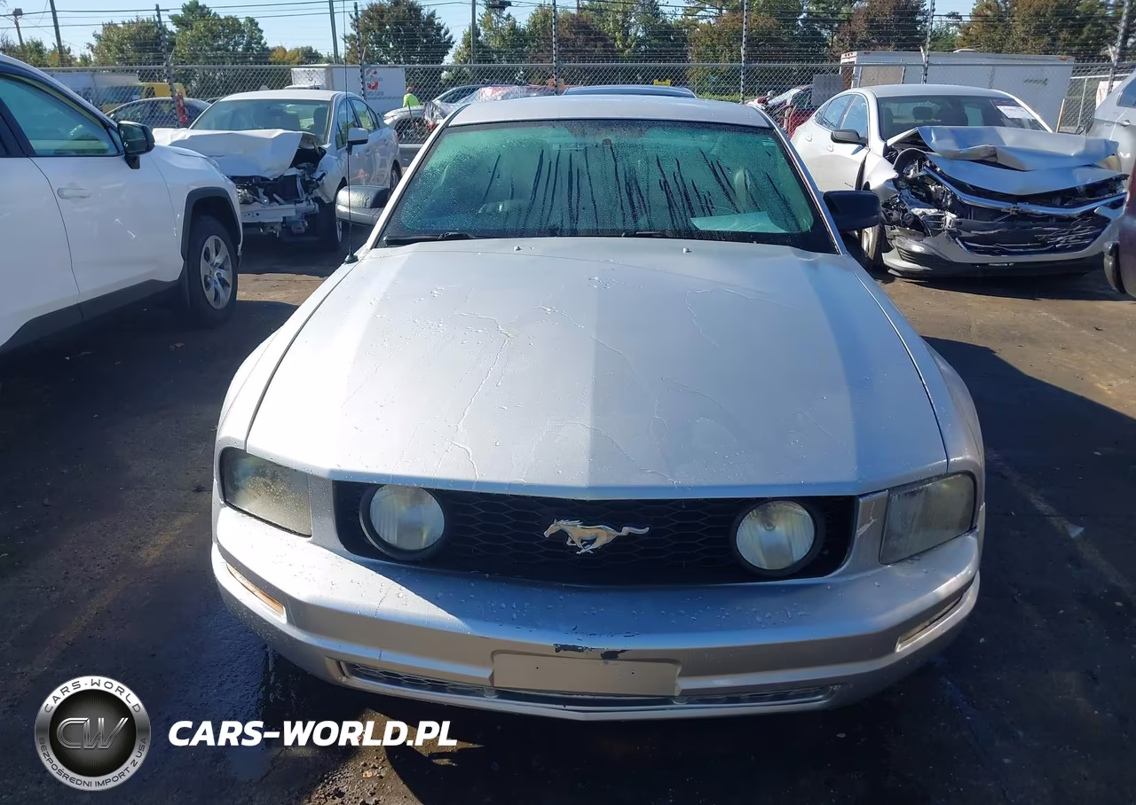 2006 Ford Mustang Gt VIN:1ZVHT82H965218149 - 13