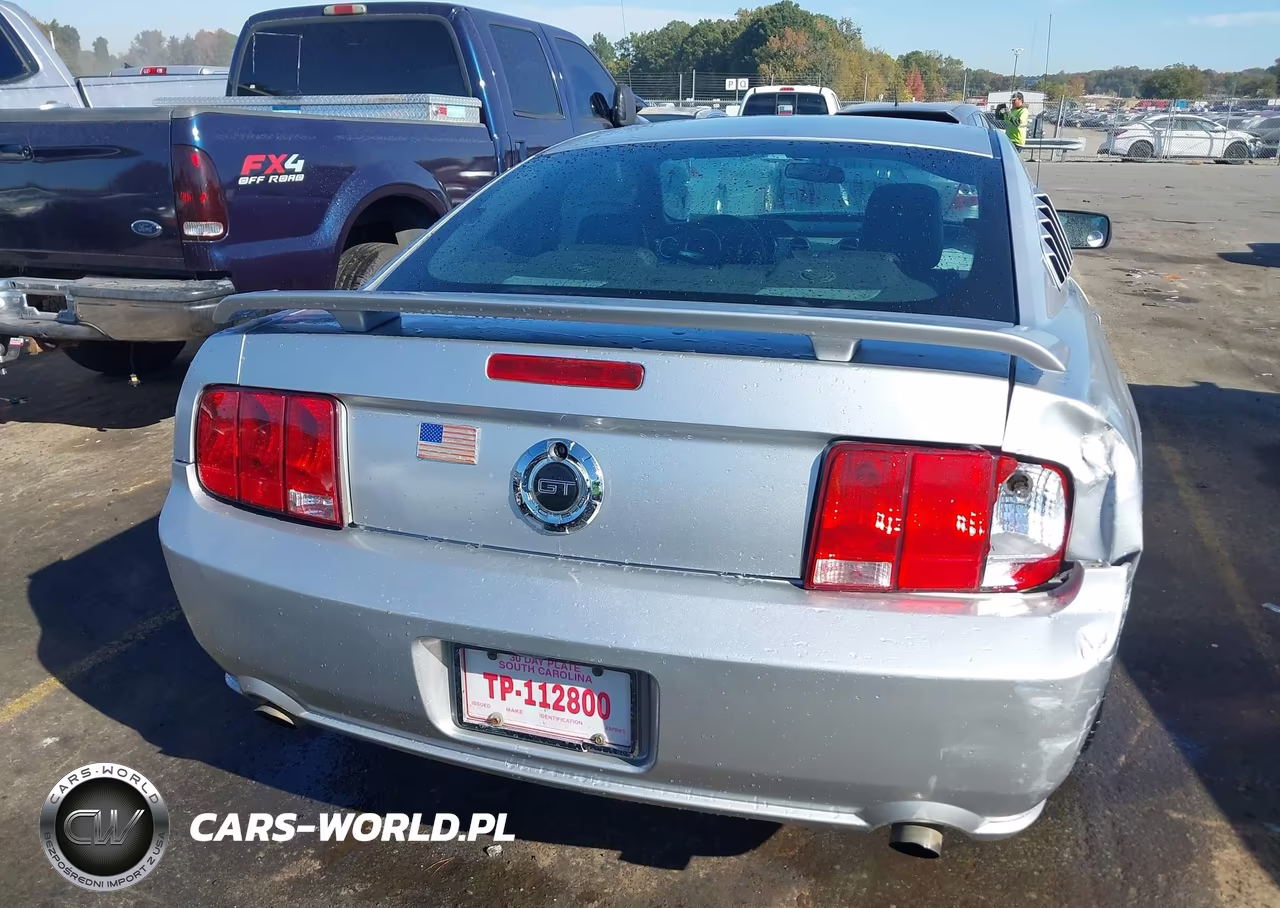2006 Ford Mustang Gt VIN:1ZVHT82H965218149 - 17