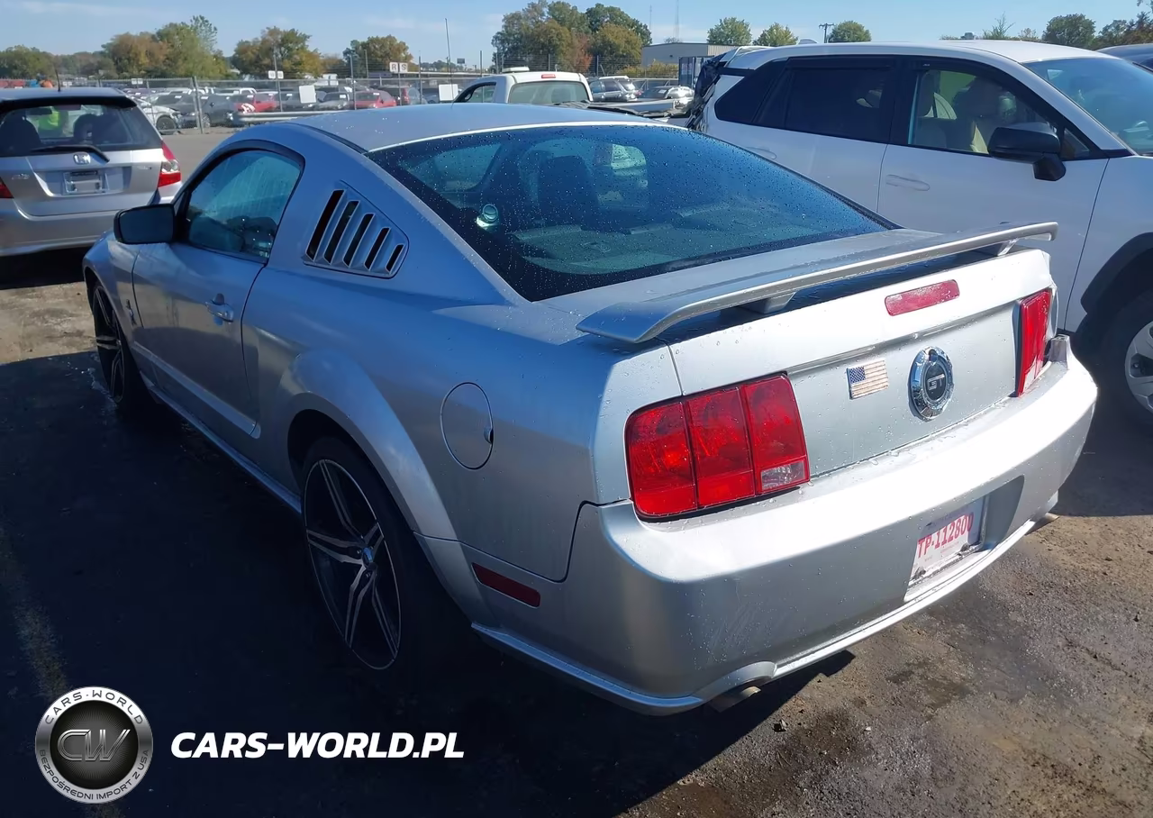 2006 Ford Mustang Gt VIN:1ZVHT82H965218149 - 3