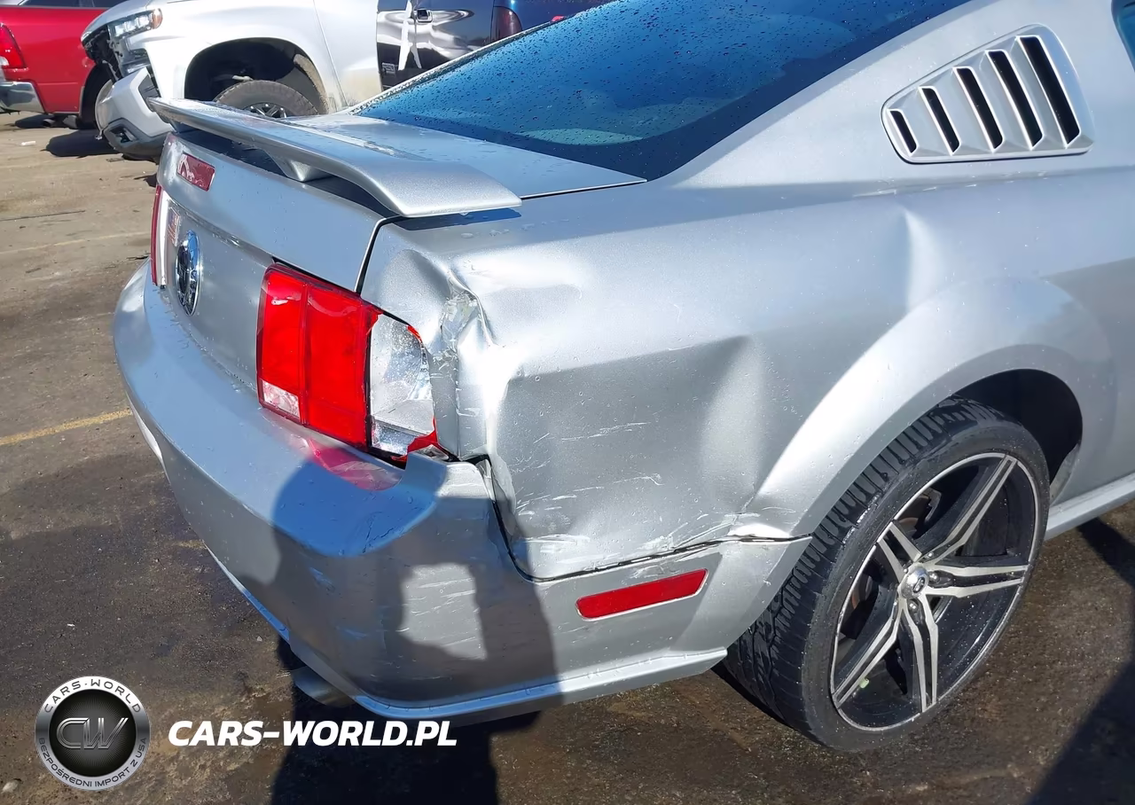 2006 Ford Mustang Gt VIN:1ZVHT82H965218149 - 6