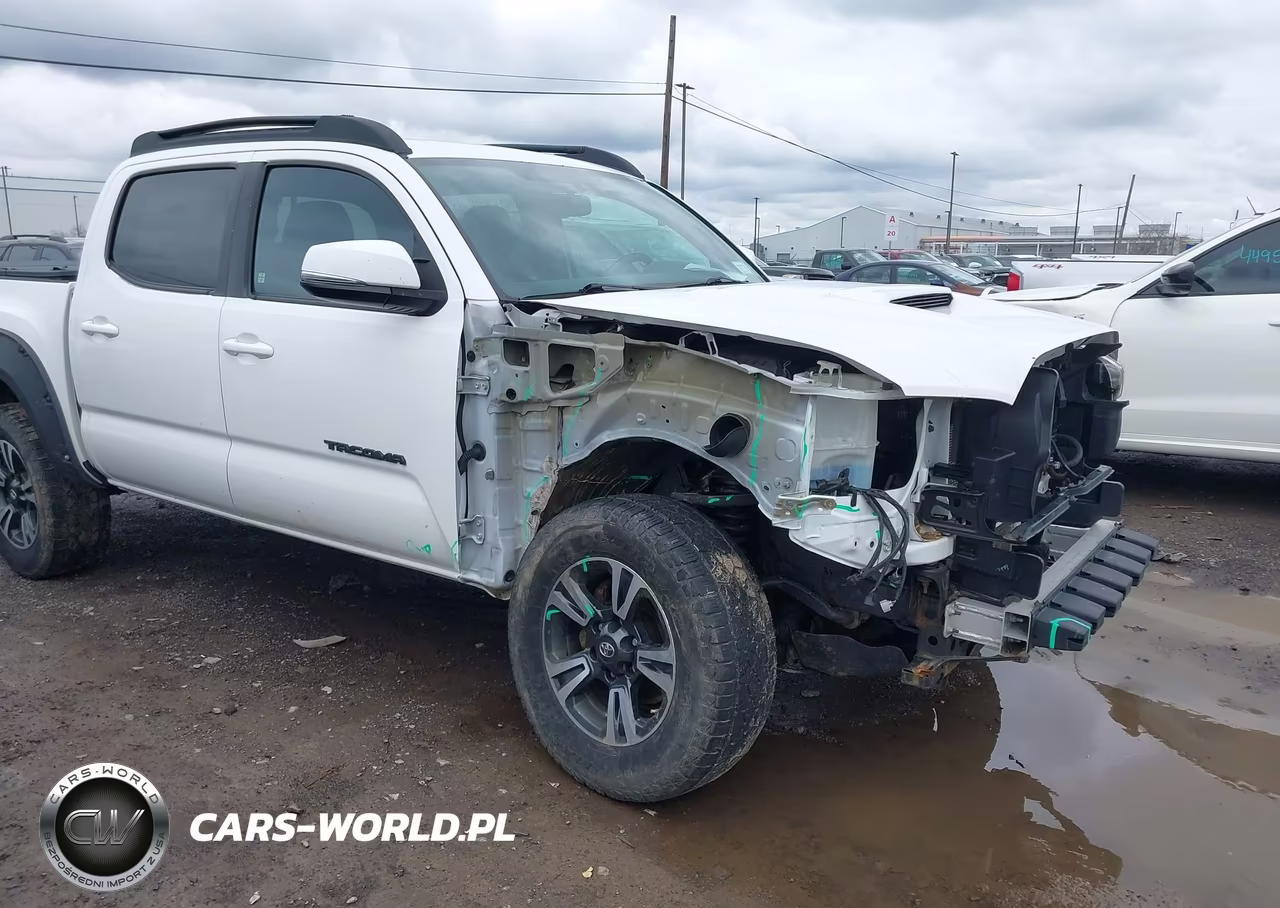 2017 Toyota Tacoma Trd Sport VIN:3TMCZ5AN3HM081806 - 19