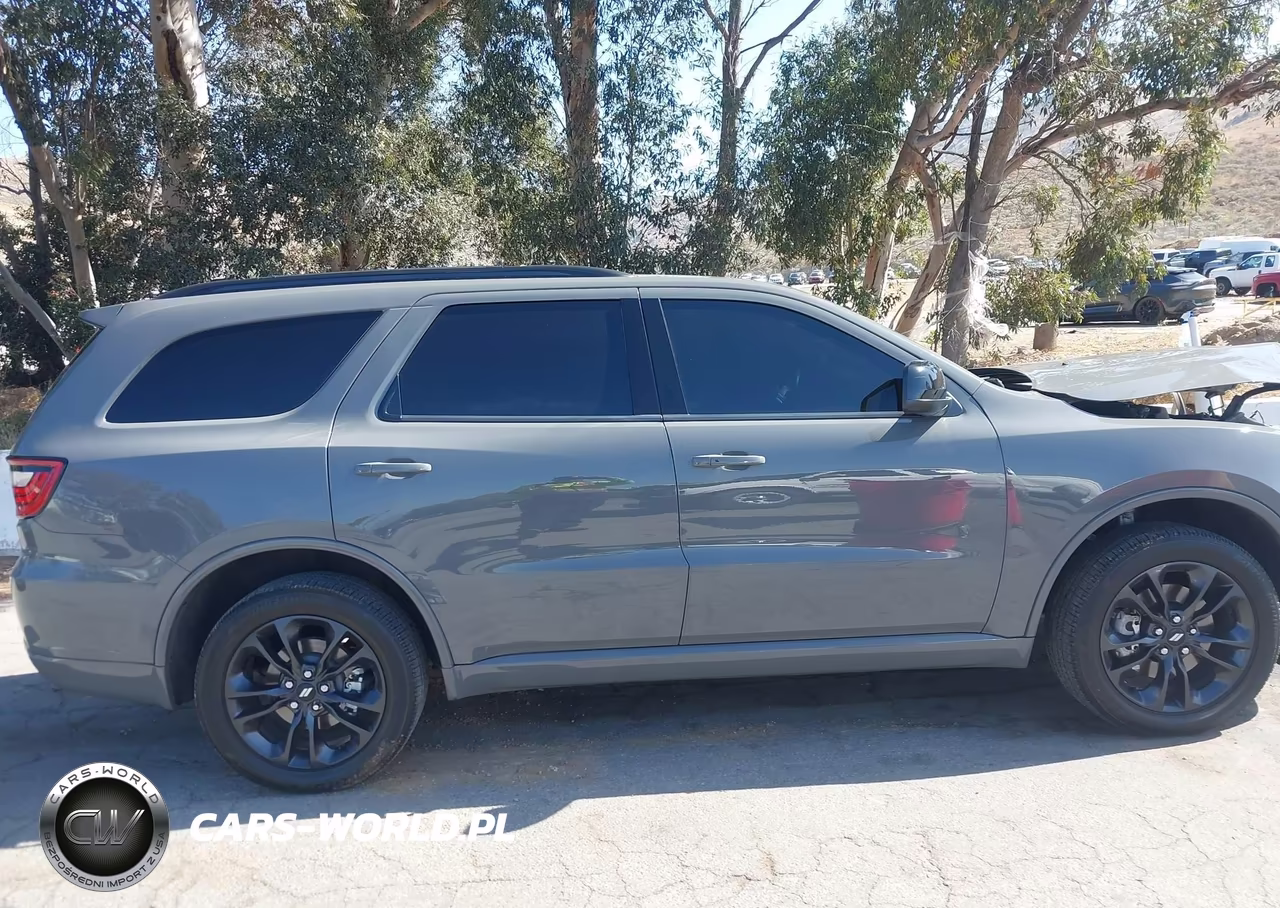 2025 Dodge Durango Gt Awd VIN:1C4RDJDG0SC529412 - 13