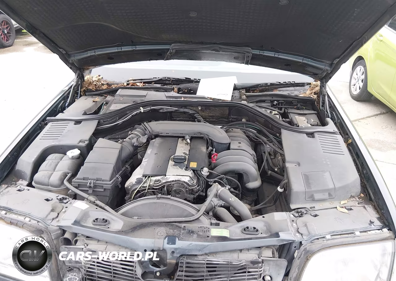 1996 Mercedes-Benz S 320W VIN:WDBGA32E4TA308369 - 10