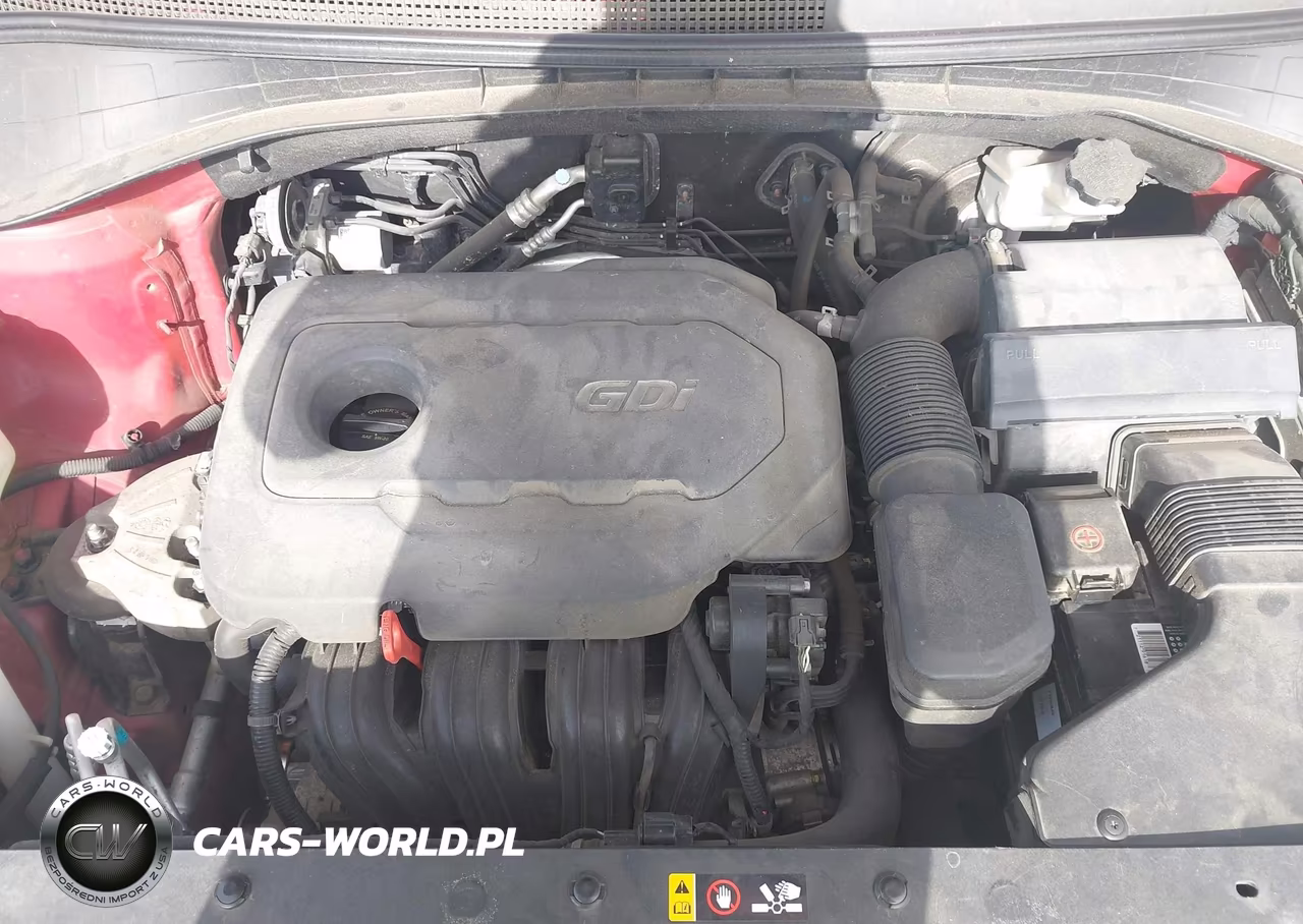 2016 Kia Sorento 2.4L Lx VIN:5XYPGDA35GG006732 - 10