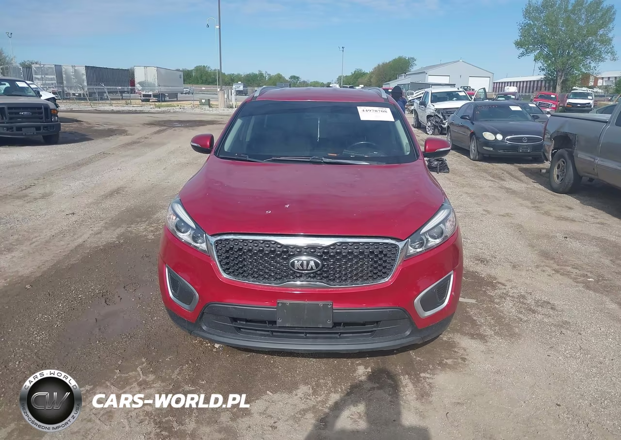2016 Kia Sorento 2.4L Lx VIN:5XYPGDA35GG006732 - 13