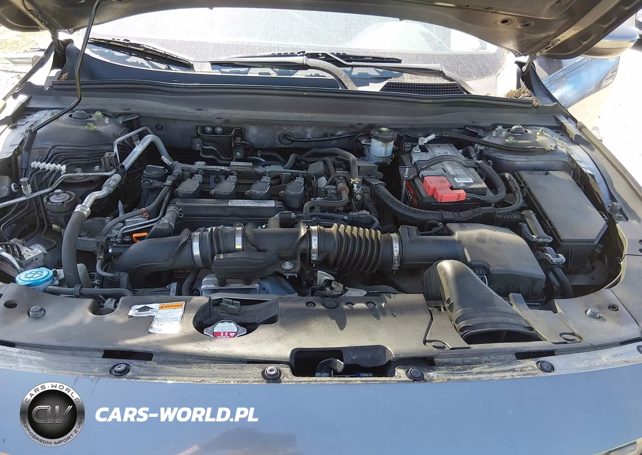 2019 Honda Accord Lx VIN:1HGCV1F11KA058413 - 10