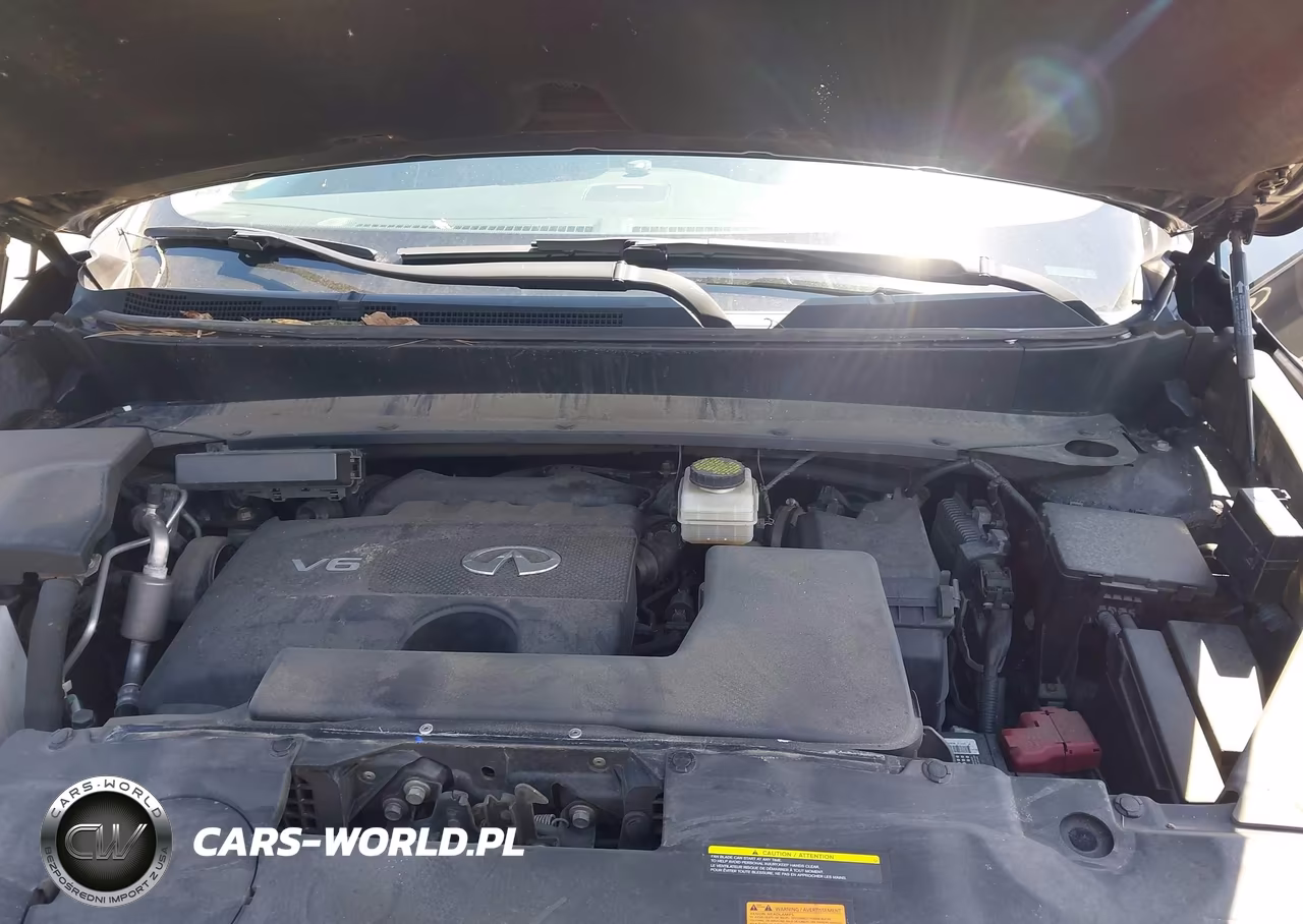 2019 Infiniti Qx60 Luxe VIN:5N1DL0MM4KC527039 - 10