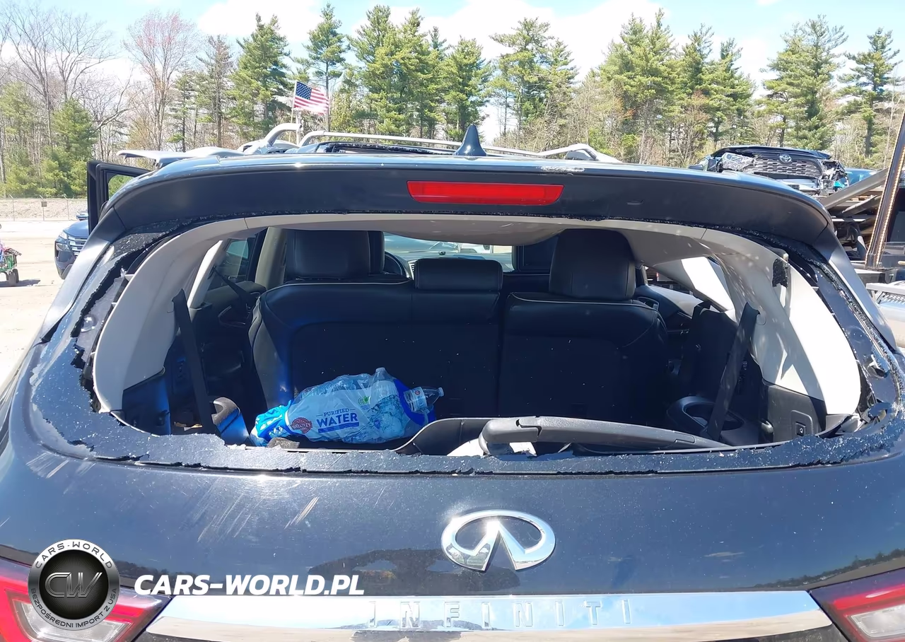 2019 Infiniti Qx60 Luxe VIN:5N1DL0MM4KC527039 - 16
