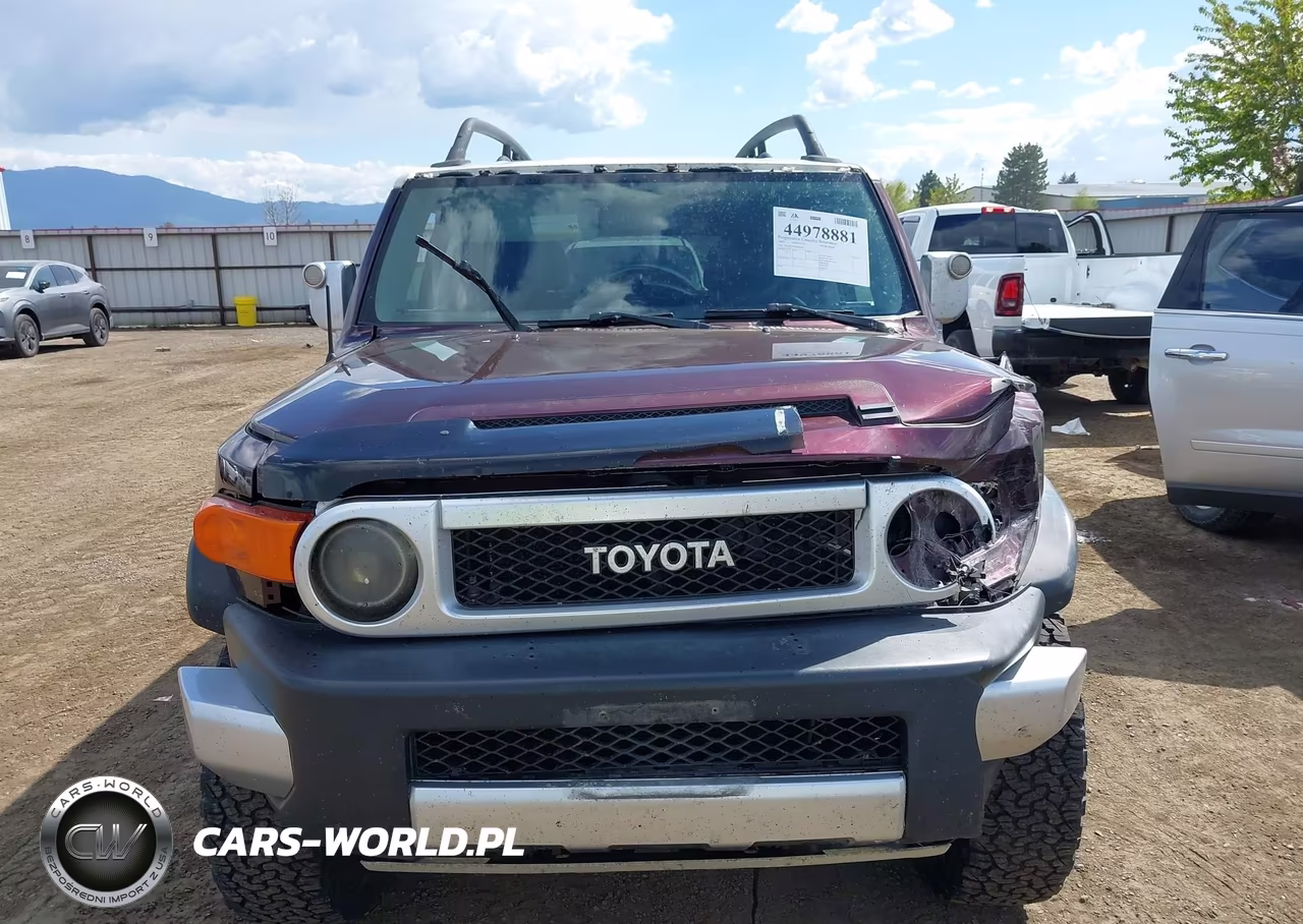 2007 Toyota Fj Cruiser VIN:JTEBU11F870082989 - 12