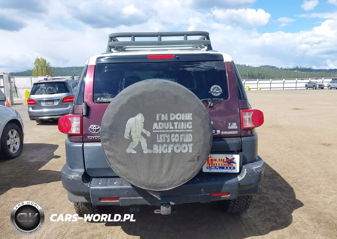 2007 Toyota Fj Cruiser VIN:JTEBU11F870082989 - 16