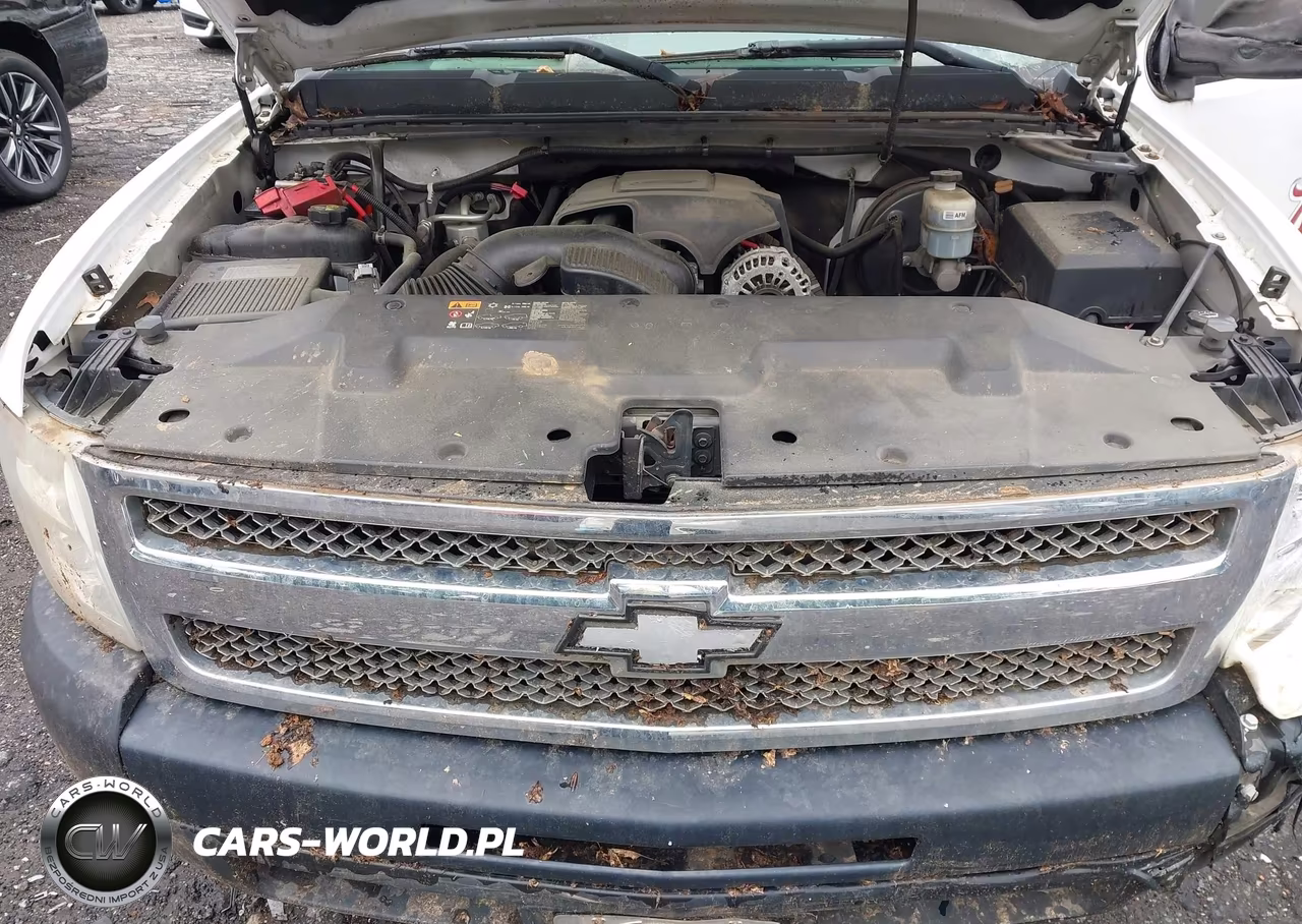 2012 Chevrolet Silverado 1500 Work Truck VIN:1GCNCPEA5CZ126569 - 10